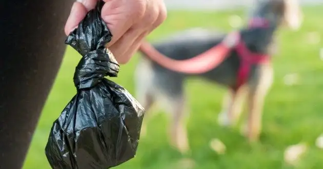 Reasons Why You Should Buy Eco-Friendly Dog Poo Bags