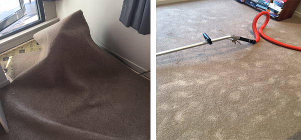 The Ultimate Guide to Emergency Carpet Drying in Melbourne
